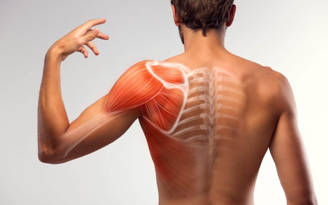 What is the most common way to dislocate your shoulder?