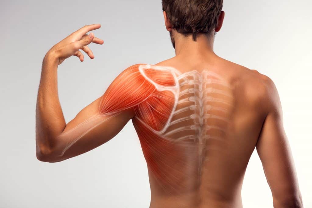 What is the most common way to dislocate your shoulder?